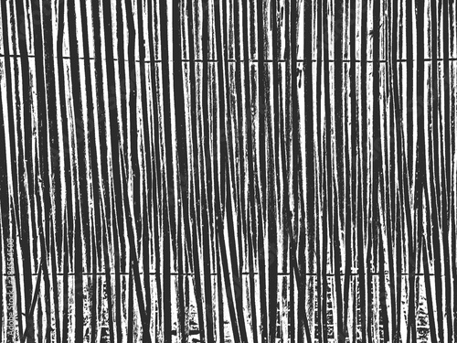 Distress old dry wooden texture. Black and white grunge background. Vector illustration