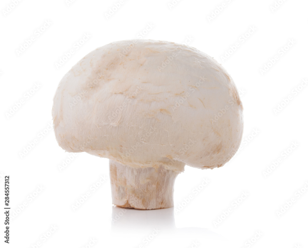 one champignon mushroom isolated on a white background one champignon mushroom isolated on a white background