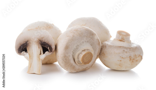 Group of champignon mushrooms isolated on a white background