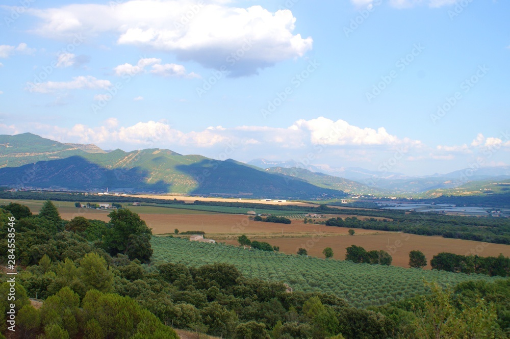 Countryside in southern alps, Provence France, with a, olive orchard in foreground and the pre-Alps mountains in background