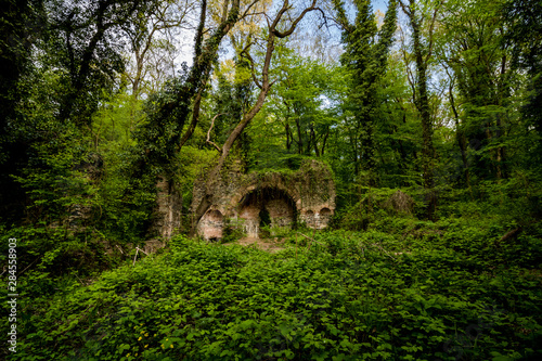 wrecked church in the forest © senerdagasan