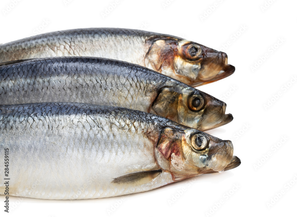 Set of fresh whole herring fish isolated on white