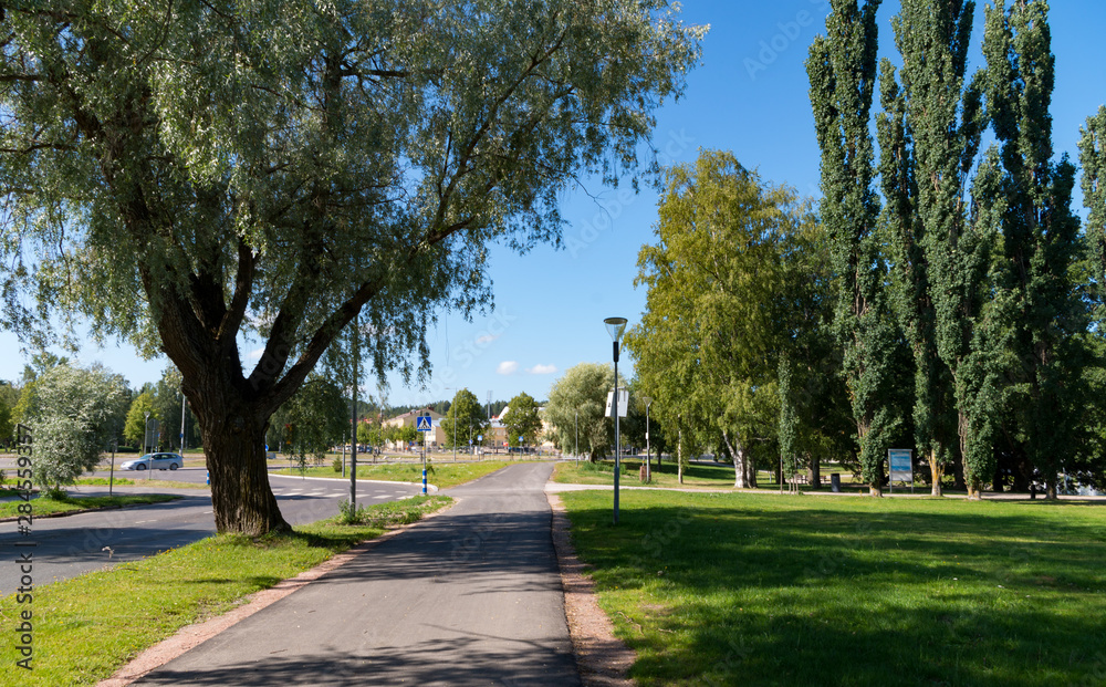 Trees, road and park in summer