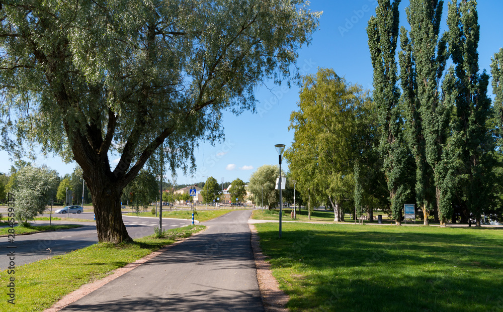 Trees, road and park in summer Trees, road and park in summer