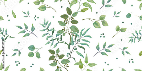 Greenery pattern. Eucalyptus seamless wedding print of leaves and branches, trendy botanical drawing on white background. Vector illustrations elegant seamless foliage