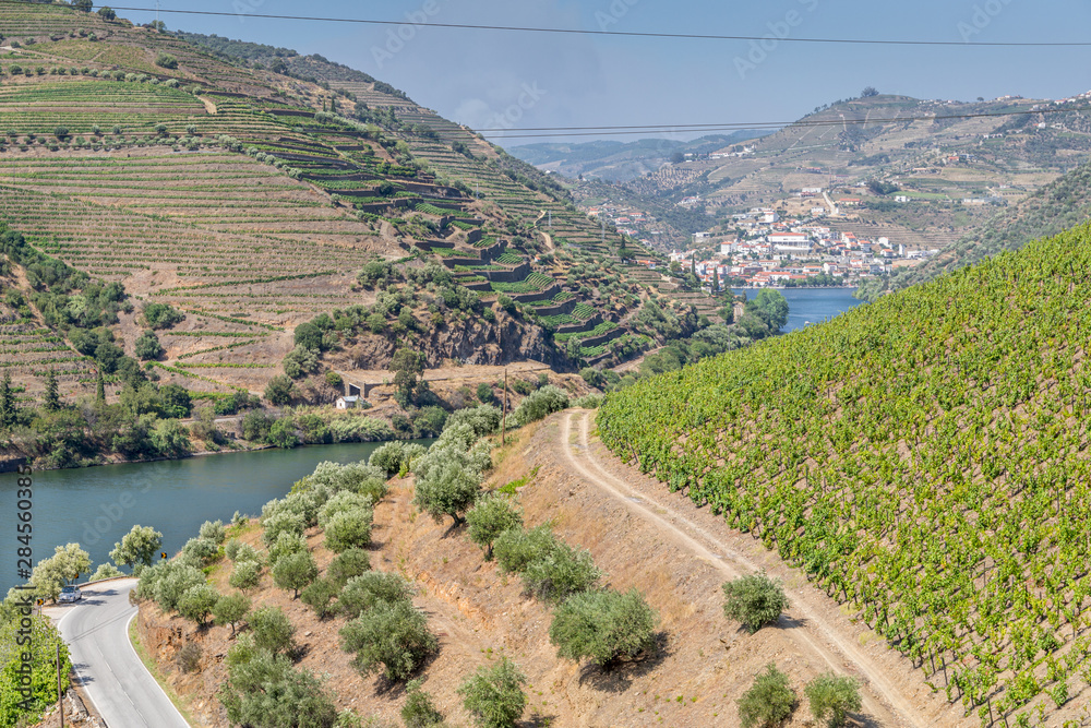 Vallée du Douro, Portugal