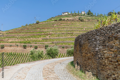 Vallée du Douro, Portugal photo