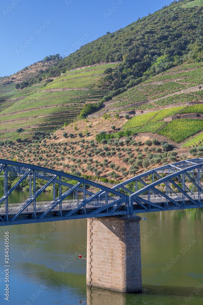 Fototapeta premium Vallée du Douro à Pinhão, Portugal