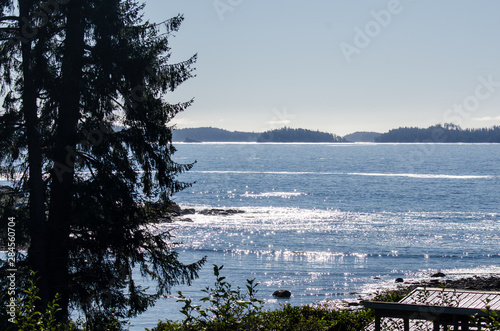 Barkley Sound