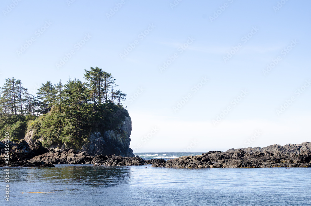 Obraz premium Pacific Coast