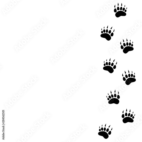 black bear trace silhouette. Vector flat illustration.
