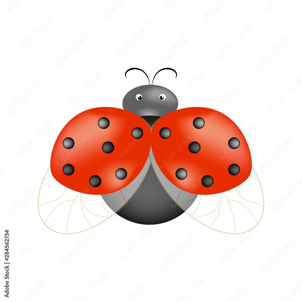 Fototapeta premium Ladybird isolated. Illustration ladybug. Cute colorful sign red insect symbol spring, summer, garden. Template for t shirt, apparel, card, poster, etc. Design element Vector illustration.