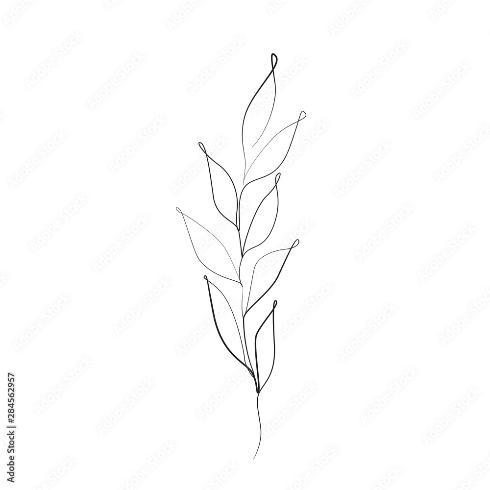 Leaves on the stem, plant one line drawing on white isolated background. Vector illustration