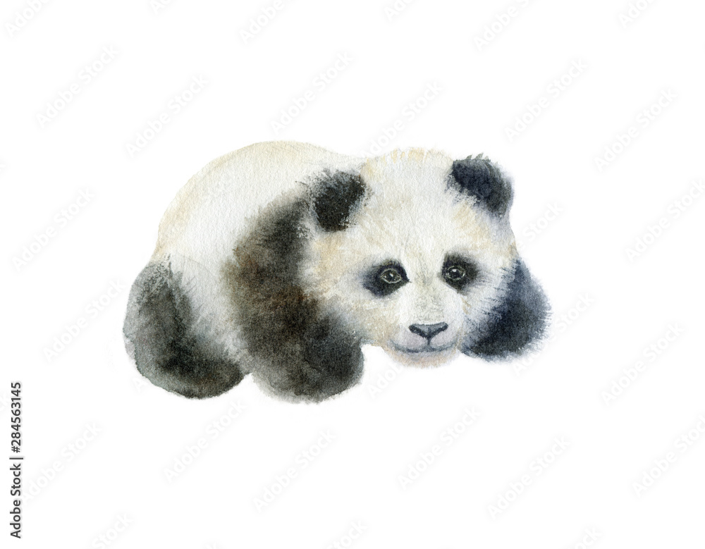 Fototapeta premium Panda bear watercolor hand draw illustration isolated on white background.