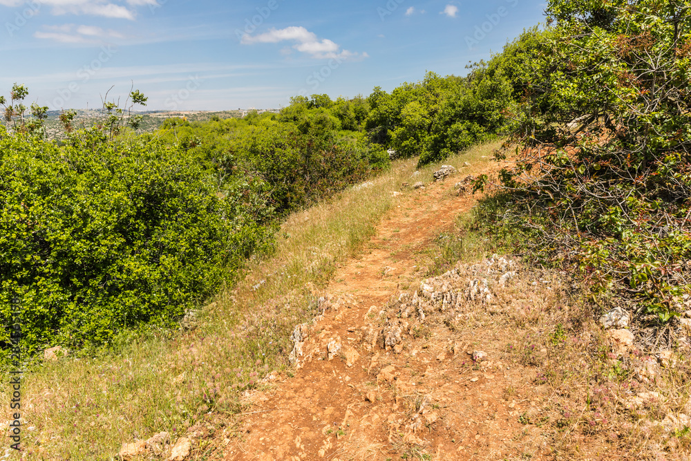 View from the Roe Deer Trail in The Ajloun Forest Reserve in Jordan View from the Roe Deer Trail in The Ajloun Forest Reserve in Jordan