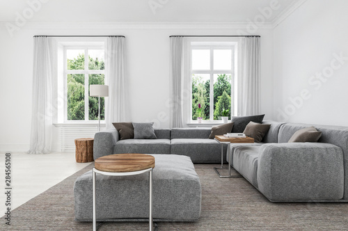 Comfortable minimalist sitting room interior