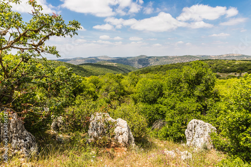 View from the Roe Deer Trail in The Ajloun Forest Reserve in Jordan