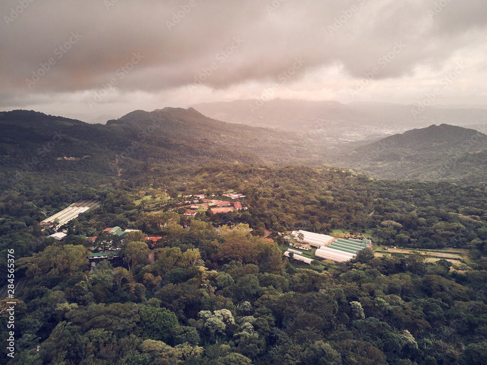 Fototapeta premium Cacao and coffee farm