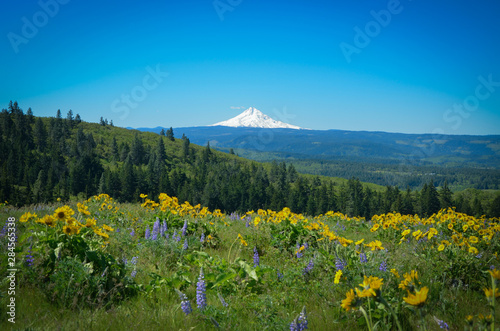Mount Hood Tom McCall