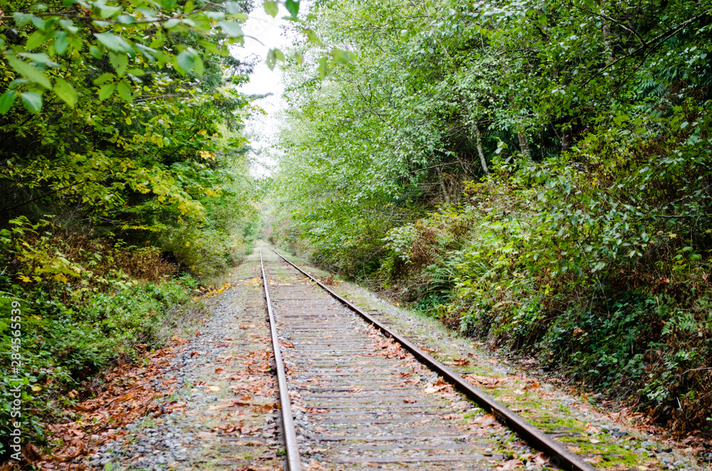 Obraz premium Qualicum Beach Railway Trail