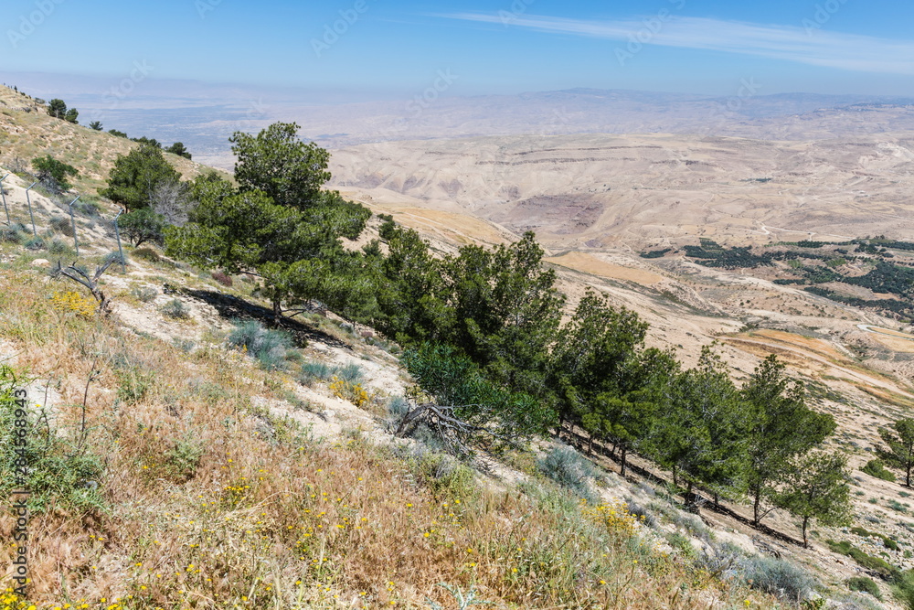 Obraz premium Mount Nebo, Jordan. The view from the summit provides a panorama of the land and, to the north, a more limited one of the valley of the River Jordan. 