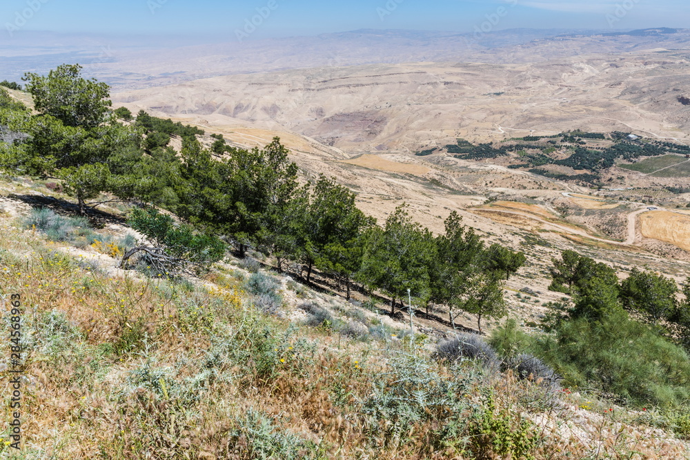 Fototapeta premium Mount Nebo, Jordan. The view from the summit provides a panorama of the land and, to the north, a more limited one of the valley of the River Jordan.