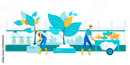 Vector Illustration Exotic Greenhouse Cartoon.
