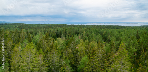 Wooded landscape