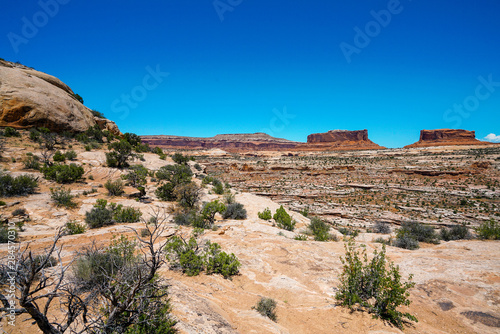 View at Canyonlands National Park in Utah during summer