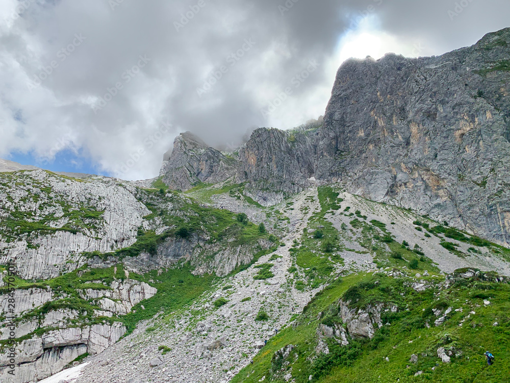 Obraz premium Abkhazia, Arabica plateau in summer in rainy weather