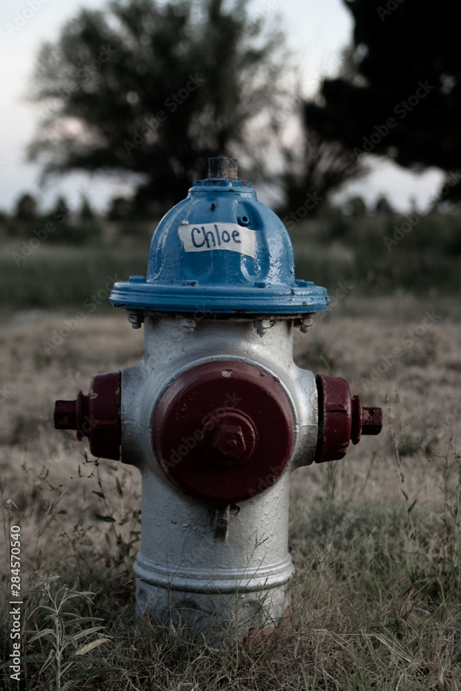 Chloe the red and blue fire hydrant Chloe the red and blue fire hydrant