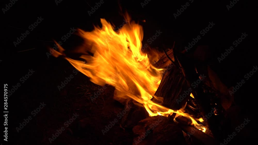 Burning fire. Bonfire. Closeup of flames burning on black background. Burning fire. Bonfire. Closeup of flames burning on black background.
