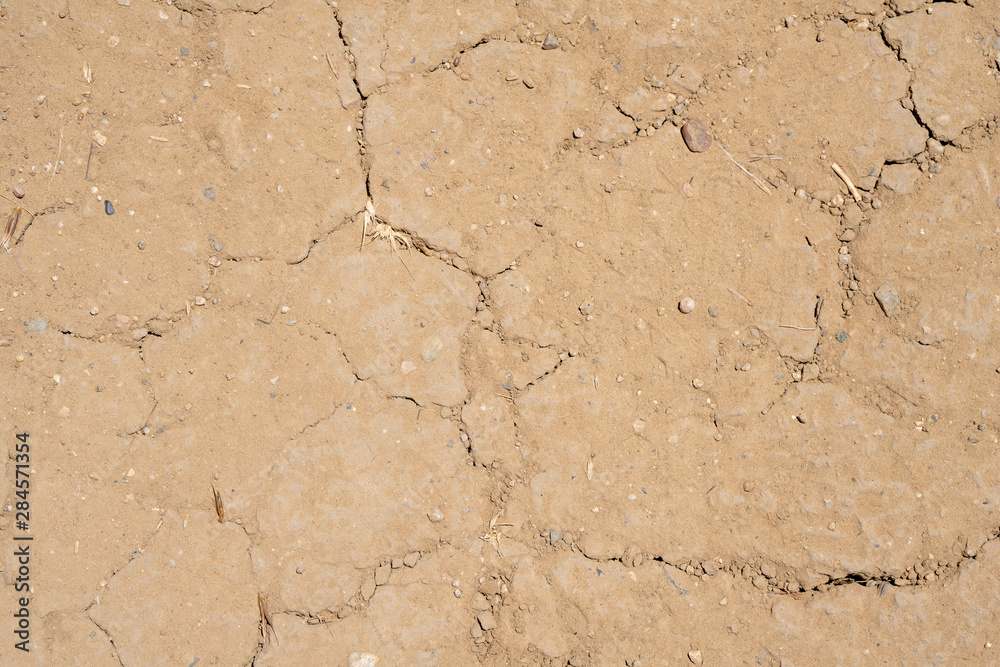 Earth Cracks Earth Cracks