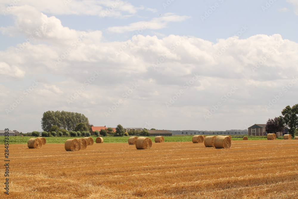 a field with round straw bales and a farm and sky with clouds in the background in holland