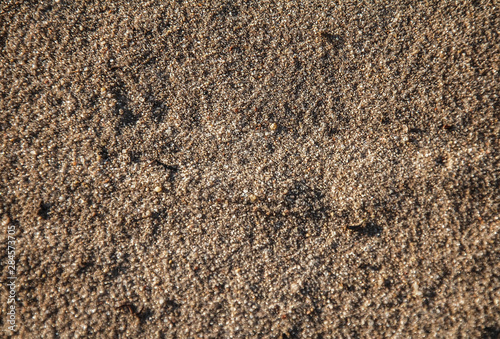ground texture of dry soil