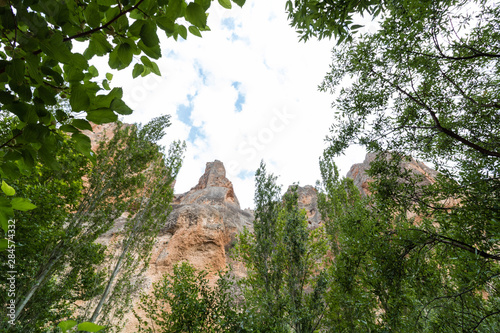 trees in a canyon (tohma canyon) in Turkey