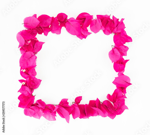 Fototapeta Naklejka Na Ścianę i Meble -  decorative frame from natural pink small flowers of bougainvillea