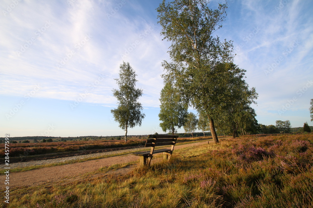 Bank in der Morgensonne in der Lüneburger Heide