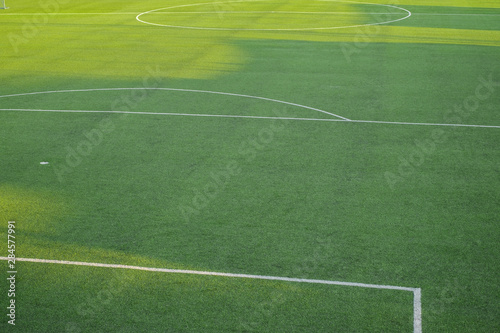 football field with white marking © Roberto Sorin