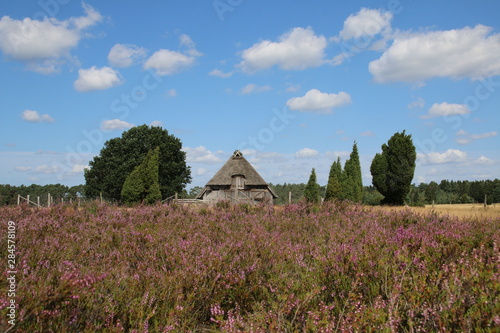 Schöner Schafstall in der Lüneburger Heide