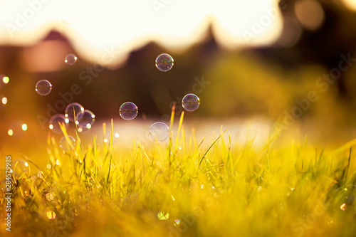 beautiful background with festive multi-colored, soap bubbles and circles lie...