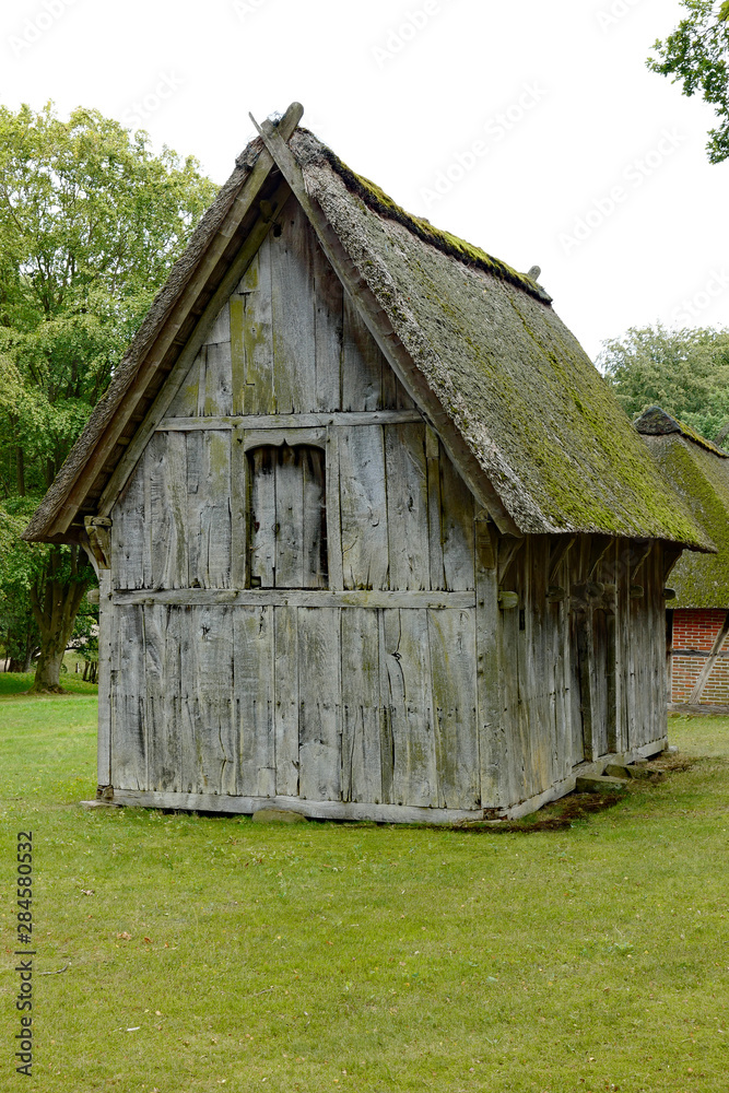 Obraz premium Lüneburger Heide Wilsede