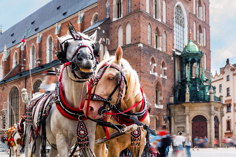 Cracow, Poland.Horses on the main square of the historic city. Carriage for tourists.Horse-drawn cart in the town center.Tourists on the main market place. 