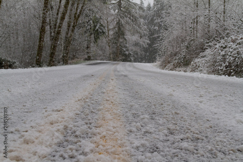 Wintery Road