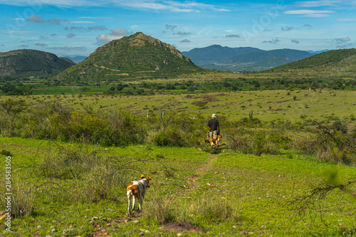 Mountains and dogs in Teotitlan del valle, Oaxaca, Mexico photo
