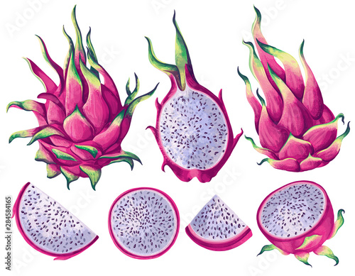 Set of pink dragon fruits (Pitaya) elements. Whole fruit, half and pieces. Vector illustration, realistic style. Exotic elements for summer background, patterns, wallpapers, fabric, wrapping paper. 