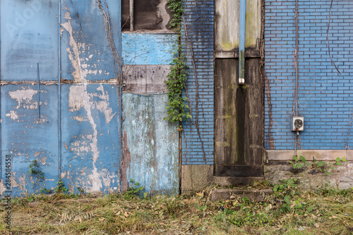 Overgrown vegetation climbing down an abandoned brick building painted blue © Richard