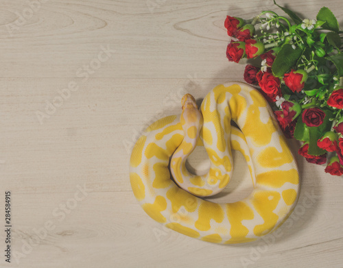 Obraz na płótnie Snake with flowers w salonie