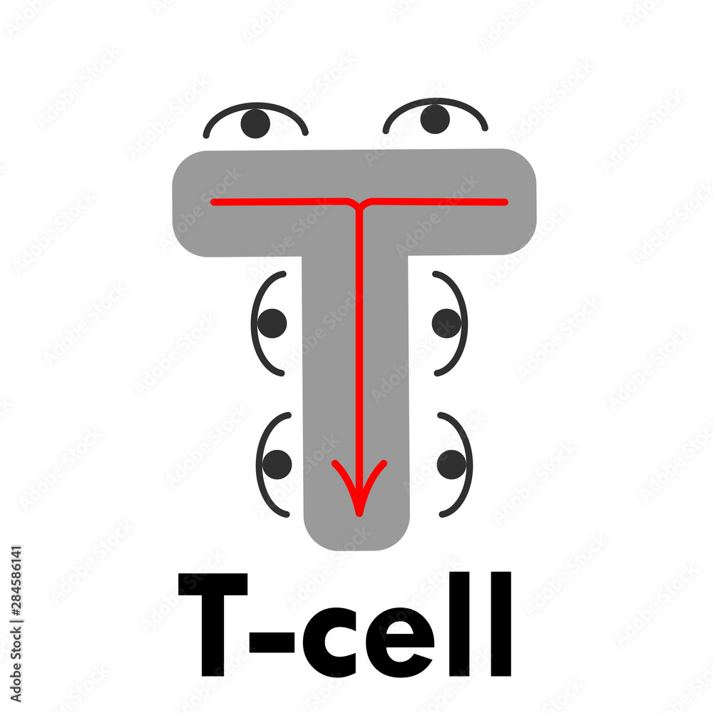 Lean manufacturing flat icon with illustration of areas of lean manufacturing. vector. with word T-cell Lean manufacturing flat icon with illustration of areas of lean manufacturing. vector. with word T-cell