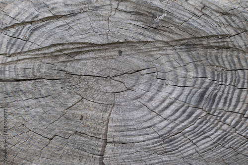 old gray-brown natural wood background in the form of a board with cracks, knots and a rough surface